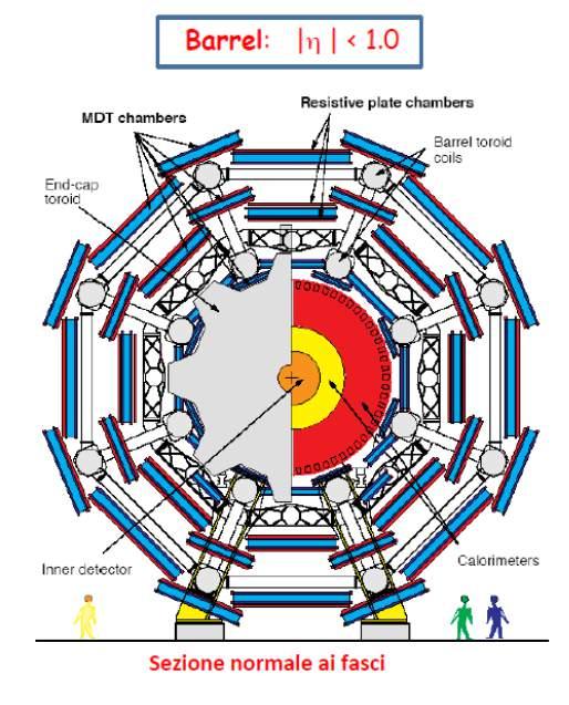 Capitolo 1. L esperimento ATLAS a LHC per la misura di precisione, ciascuna costituita da due multilayer di 4+4 strati di tubi nella shell più interna e 3+3 nella shell intermedia e in quella esterna.