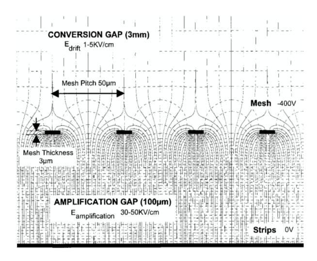 Capitolo 3. Le camere MicroMegas Figura 3.2: Mappa delle linee di campo elettrico in una camera Micromegas.