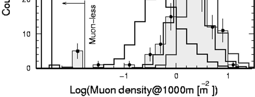 Analisi della composizione degli UHECR Misurando la densita di muoni negli sciami UHECR (E> 10 19 ev) AGASA riesce a stimare la natura dei raggi