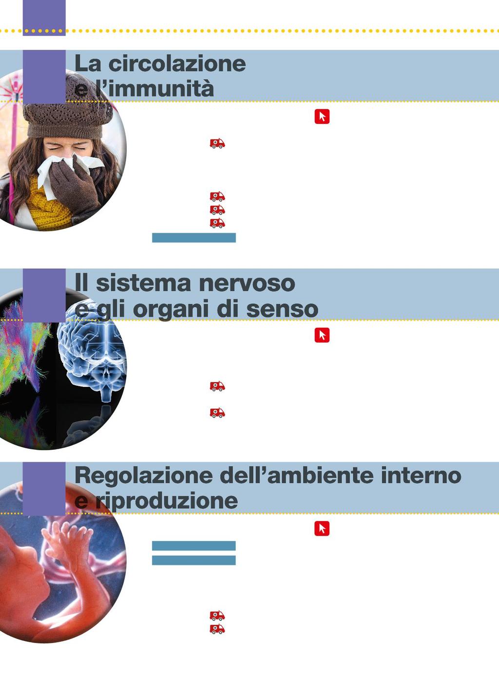 7 8 La circolazione e l immunità 1. Il sangue: composizione e funzioni 150 La nostra salute 154 2. L apparato circolatorio e il sistema linfatico 156 3.