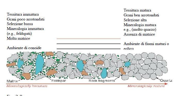 5- MATURITA TESSITURALE DEL SEDIMENTO La maturità tessiturale si stabilisce in base a: (1) contenuto in matrice; (2) grado di selezionamento (sorting); (3) grado di arrotondamento (roundness).