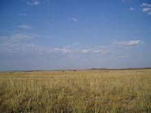 Climi aridi 2-il clima semiarido caldo o della steppa (predesertico) fa transizione a quello della savana ed è caratterizzato da estese formazioni erbacee a cespuglietto.