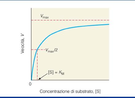 La Vmax indica la saturazione dell enzima a [S] infinita La Km è una costante che dipende dal sistema enzimatico considerato,