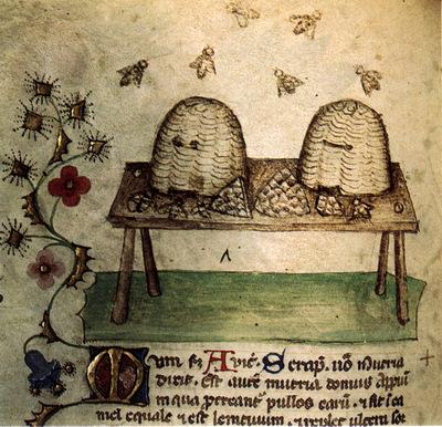 -Una miniatura con api e miele Nel tardo Medioevo, era utilizzato nelle salse come legante per la sua caratteristica consistenza.