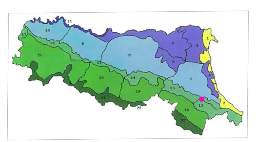 PIANIFICAZIONE VIGENTE Piano Territoriale Paesistico Regionale Attraverso l incrocio delle informazioni (costituzione geologica, elementi geomorfologoci, quota, microclima ed altri caratteri