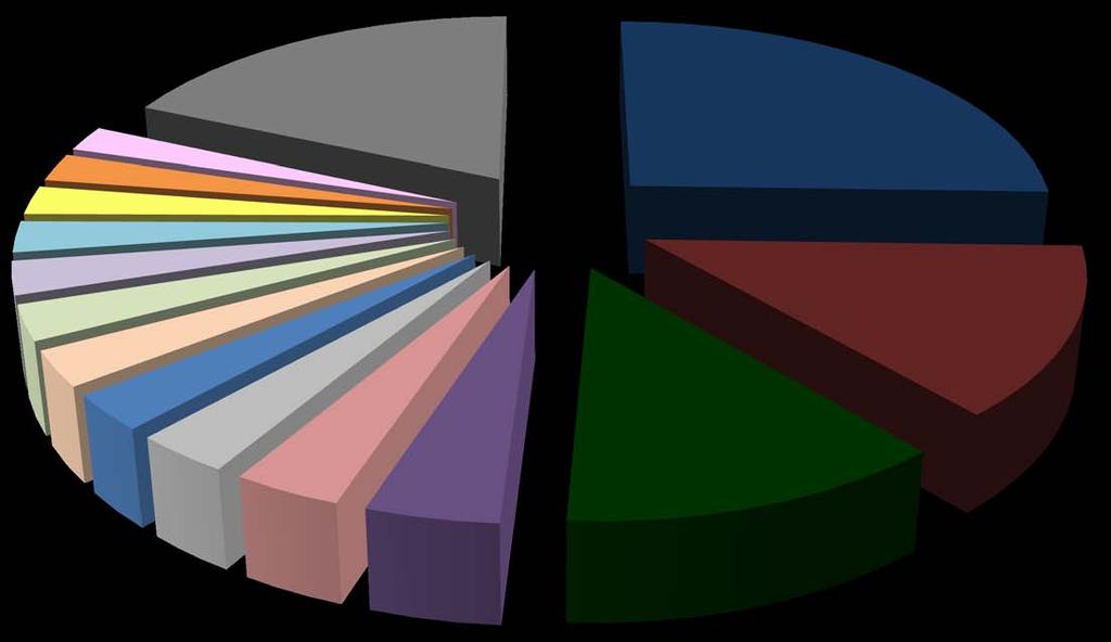 Importazioni definitive Italia (principali capitoli) origine CINA Anno 2010 Valore statistico (% su totale) materie