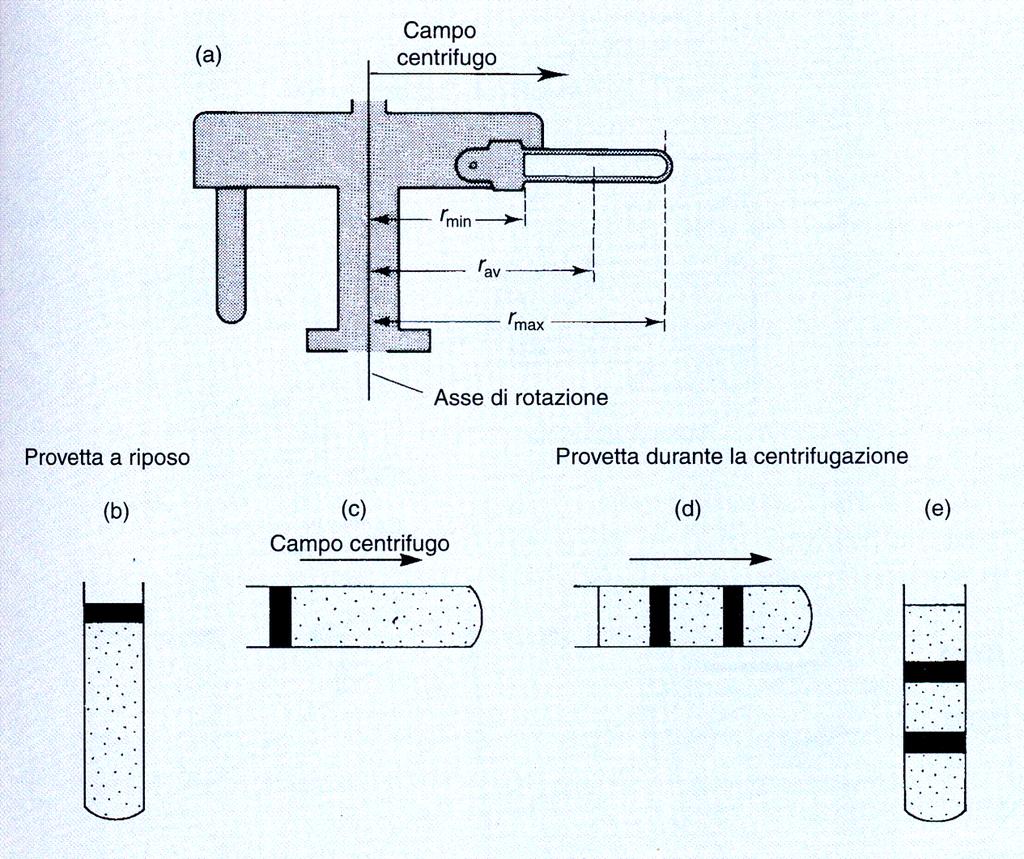 Principi della sedimentazione 2 G = ω r Rotori a bracci oscillanti ω = rad s 1 2π rpm ω= 60 G = campo