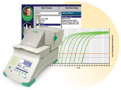 real time Polymerase Chain Reaction: relative quantification * *AmpErase Uracil N-Glycosylase (UNG) is a 26 kda,