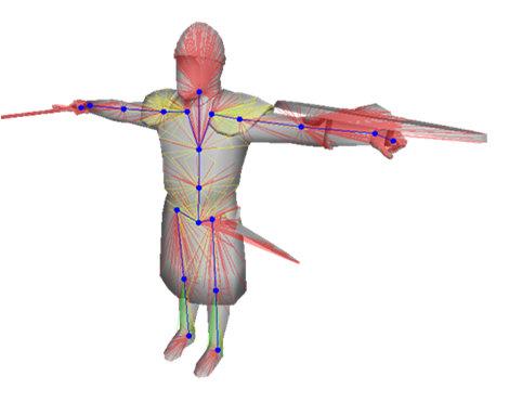 pose deformed model a vertex (in rest pose) p