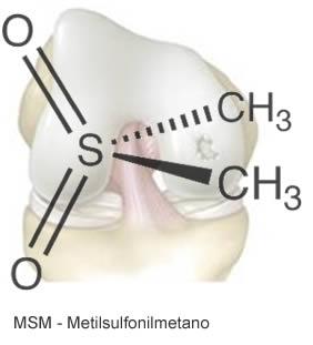 l MSM trova spazio per: le proprietà antinfiammatorie le proprietà condroprotettici: grazie allo stimolo sulla sintesi della cartilagine articolare si ritiene che l integrazione di