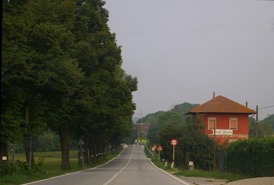 LE ALBERATE NEL PAESAGGIO: ESPERIENZE DI TUTELA NEL NORD ITALIA MARCO DEVECCHI Osservatorio del Paesaggio per il Monferrato e l Astigiano CONVEGNO LE