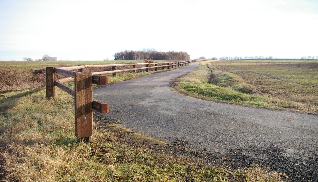 ESPERIENZE NELLA REALIZZAZIONE DI NUOVE ALBERATE 2014 PISTA CICLABILE DI VILLANOVA D ASTI Valutazione della possibilità di