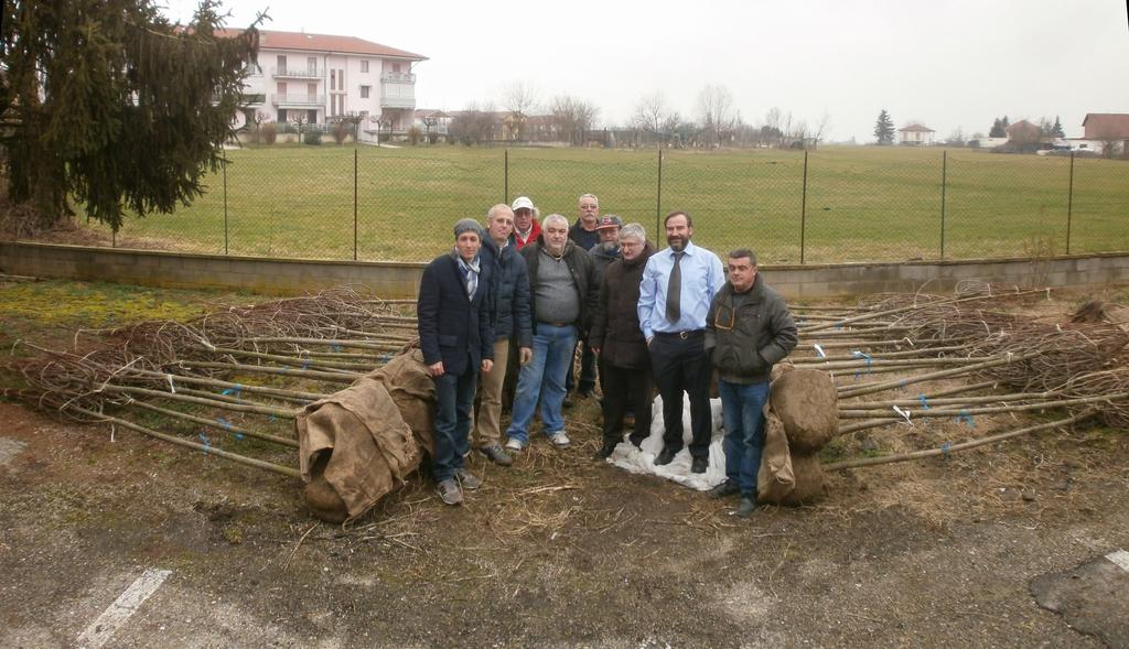 OPERAZIONI PRELIMINARI PER REALIZZARE IL VIALE LUNGO LA PISTA CICLABILE Acquisto e consegna degli alberi a Villanova d Asti (venerdì 28 febbraio 2014) dal Vivaio