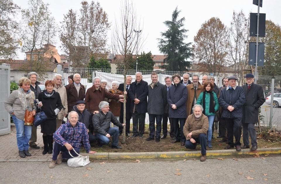 LA CRESCITA DELLE PIANTE E QUELLA DELLE PERSONE (il concetto di cura) 2014