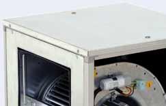 OX-D Ventilatori cassonati centrifughi a doppia aspirazione direttamente accoppiati Direct drive double inlet box fans DESRIZIONE ENERLE II ventilatori della serie OX-D sono particolarmente indicati