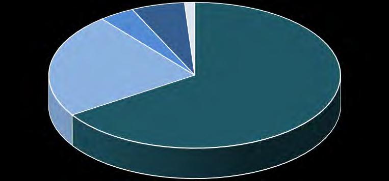 26% Italia Centro - Toscana, Marche, Umbria, Lazio, Abruzzo, Molise 25% 25% America 4% Provenienza visitatori esteri Asia 6% Africa 1%