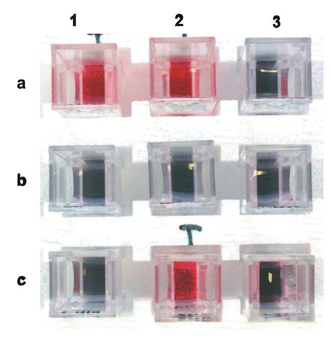 Nanoparticelle d oro: aggregazione e colore Determinazione colorimetrica di enzimi AcNHCys(SAc)-peptide-Cys(SAc)OH sequence specific for a protease Incubate with protease then add to to > 4 nm