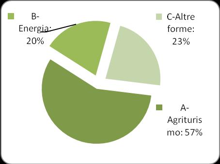 E comunque interessante segnalare il peso crescente delle altre forme di diversificazione e degli interventi sulle energie rinnovabili nelle sottofasi più recenti.