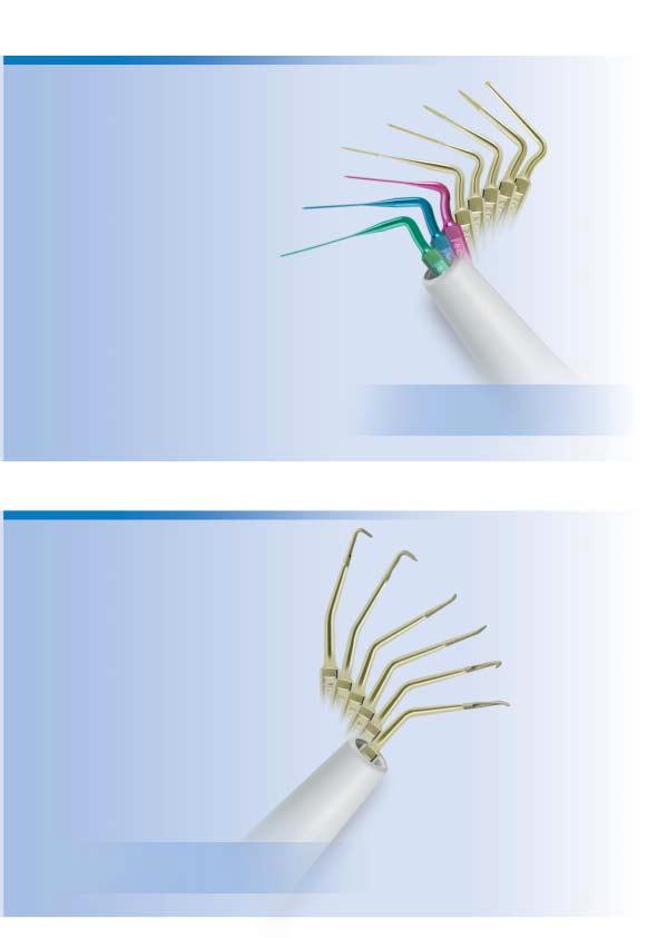 Inserti ProUltra per l endodonzia Realizzate dal Dott. Clifford j. Ruddle, D.D.S.