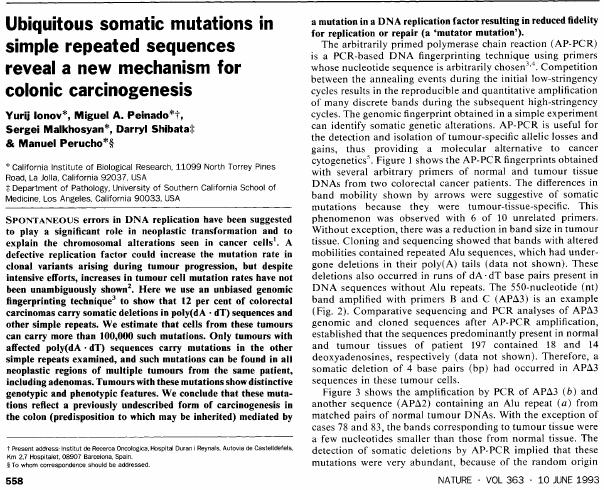 : Microsatellite instability in cancer of