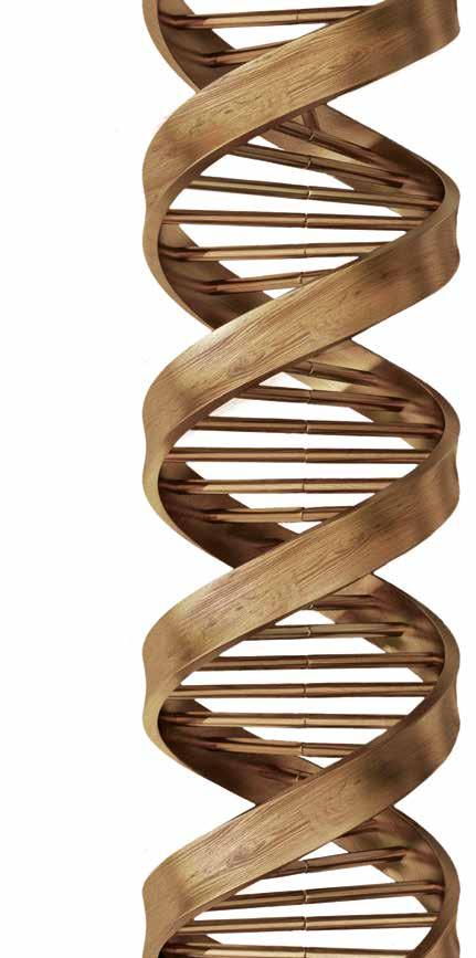 LE PIÙ SOLIDE TECNOLOGIE DEL LEGNO SONO IL NOSTRO DNA SCM.