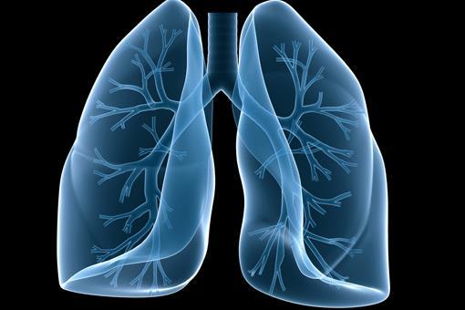 ALTERATA FUNZIONALITÀ RESPIRATORIA COME F R PER DIABETE la riduzione della funzione polmonare è un fattore di rischio indipendente per aumento della mortalità da qualsiasi causa: una riduzione del