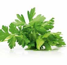 Profumo intenso Rucola Pepata, gusto deciso e