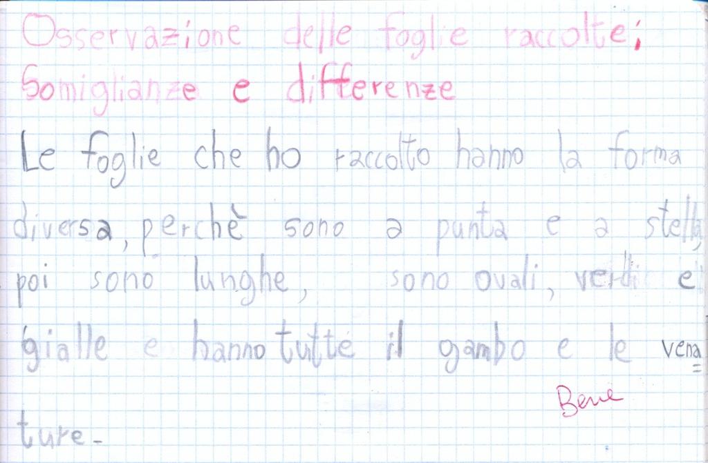 2. Le foglie e la stagionalità Per il percorso sulle foglie e la stagionalità partiamo dalla raccolta e osservazione delle foglie delle piante