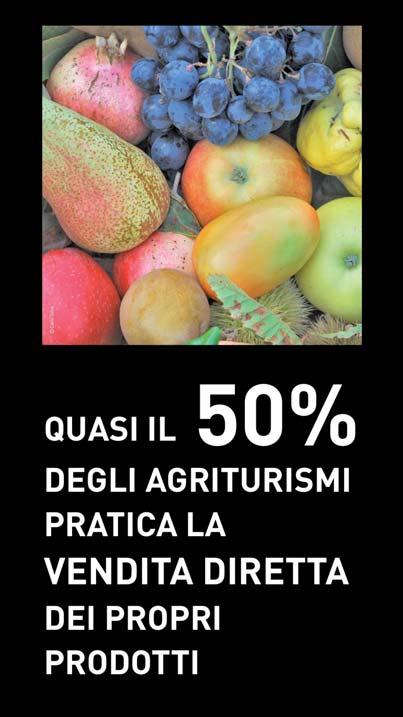 Video sui numeri dell agricoltura lombarda L