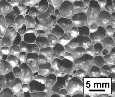 metallica o schiuma a cella chiusa