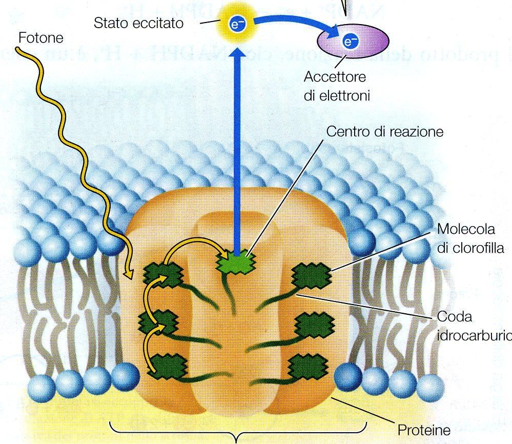 Trasferimento di energia e