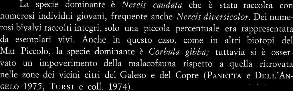 Dei numerosi bivalvi raccolti integri, solo una piccola percentuale era rappresentata da eseinplari vivi.