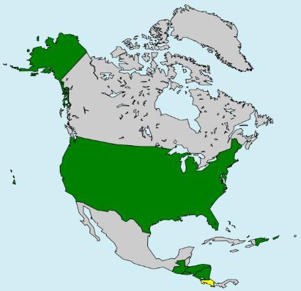 Istituzione: 2005 CAFTA Paesi membri: USA, Costa Rica, Repubblica Dominicana, El Salvador, Guatemala, Honduras, Nicaragua.