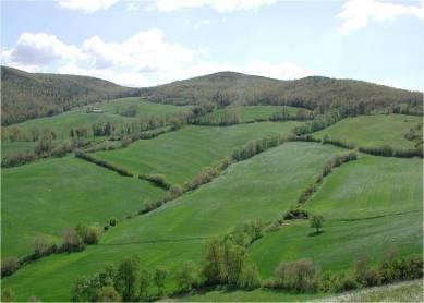 Cecina, Toscana Filare di