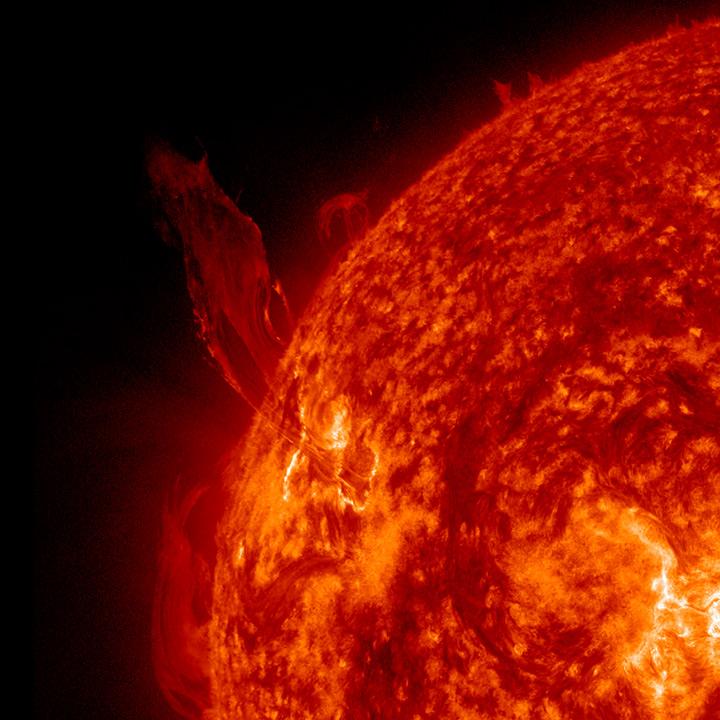 Protuberanze: getti di plasma molto luminosi che si estendono dalla cromosfera a gli