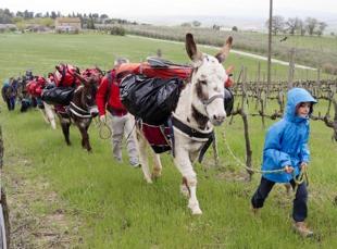 Due parole sul trekking Il trekking A passo d asino ha come scopo ultimo quello di far scoprire un territorio ancora per certi versi poco conosciuto e nello stesso tempo ricco di storia e tradizione.