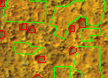 delle ROI: il pino e la TDF due picchi nella distribuzione NDVI Vantaggio alta