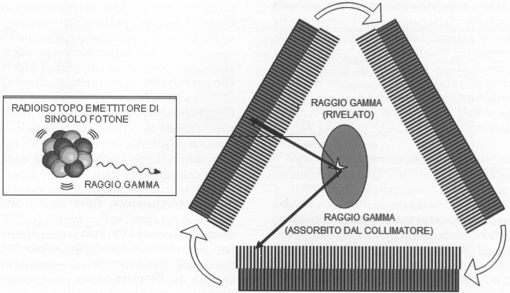 ed in questo tempo vengono raccolti circa 10 7 conteggi. Il rapporto tra i 10 7 conteggi raccolti ed il numero totale di decadimenti avvenuti, dato da 900. 10 6. 40. 60 = 2.16.