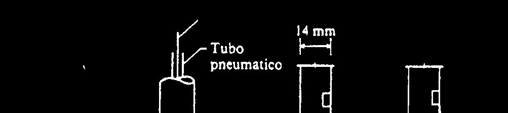 48 Prove dilatometriche Dimensioni