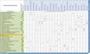 Specifica il ruolo e il contesto lavorativo del job all interno della struttura organizzativa.