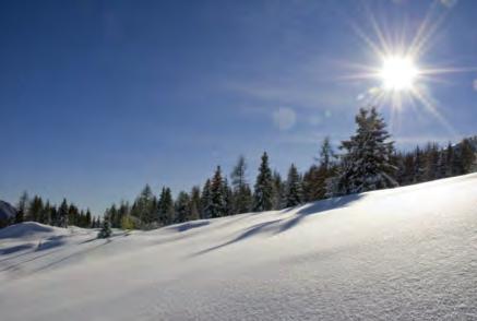 In TRENTINO Funivie Lagorai Passo Brocon SKILAGORAI: PRONTI PER LA STAGIONE DELLA MONTAGNA! Quali sono i vostri gusti? Amate lo sci?