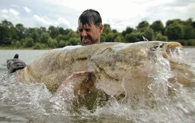 GLI ANELLI Questi anelli sono specifici per la pesca con le