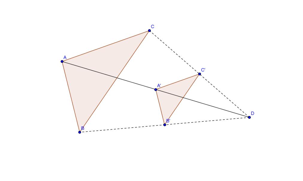 Riprodurre in scala una figura assegnata (utilizzando, ad esempio, la carta a quadretti). (entro la classe V) Implicita in tale obiettivo è la trasformazione chiamata omotetia.