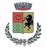 COMUNE DI CAVALLASCA Provincia di Como Allegato alla determinazione del Settore Amministrativo n. 113 del 2013 ALBO DEI BENEFICIARI DI PROVVIDENZE DI NATURA ECONOMICA EROGATE NELL'ESERCIZIO 2012 D.P.R. 118 DEL 07.