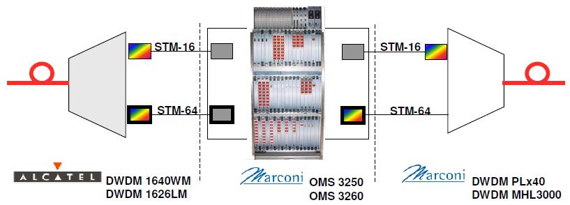 Evolution of Backbone Networks ERICSSON s PORTFOLIO in