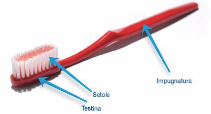 Caratteristiche dello spazzolino manuale (1/2) Caratteristiche ottimali dello spazzolino manuale Caratteristiche ottimali della testina: Deve essere piccola Deve essere arrotondata e non presentare
