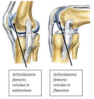 La rotula scorre sulla