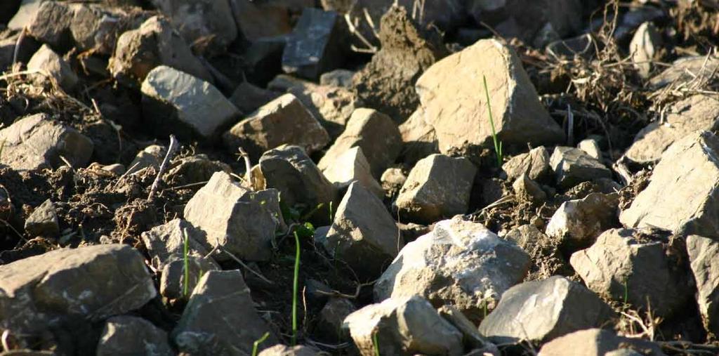 I vigneti sono coltivati su terreni sassosi a medio impasto di arenaria-calcare-pietraforte, galestro e alberese in una posizione geografica eccellente: tra i nostri boschi del Chianti, a 350 metri