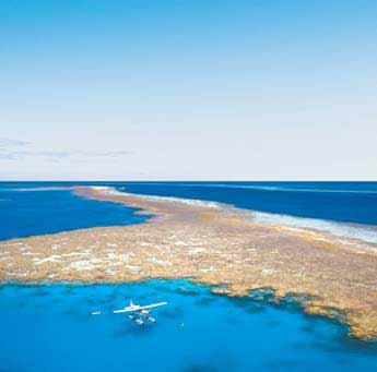 Port Douglas è una vivace cittadina a circa 70 chilometri a nord di Cairns, vi sono negozi, ristoranti e locali oltre ad un bellissimo campo da golf.