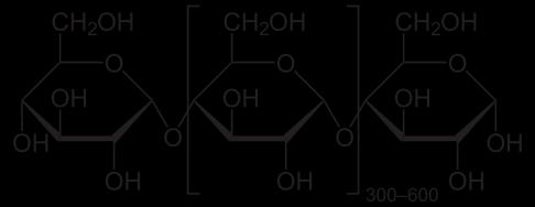 il glucosio montato in catene costituisce l